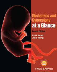 бесплатно читать книгу Obstetrics and Gynecology at a Glance автора Norwitz Errol