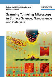 бесплатно читать книгу Scanning Tunneling Microscopy in Surface Science автора Davies Philip