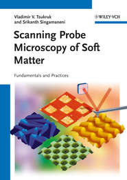 бесплатно читать книгу Scanning Probe Microscopy of Soft Matter. Fundamentals and Practices автора Singamaneni Srikanth