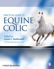 бесплатно читать книгу Practical Guide to Equine Colic автора Fehr Joanne