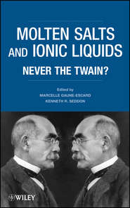 бесплатно читать книгу Molten Salts and Ionic Liquids. Never the Twain? автора Seddon Kenneth