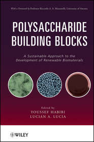 бесплатно читать книгу Polysaccharide Building Blocks. A Sustainable Approach to the Development of Renewable Biomaterials автора Lucia Lucian