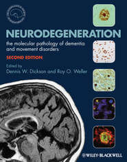 бесплатно читать книгу Neurodegeneration. The Molecular Pathology of Dementia and Movement Disorders автора Weller Roy