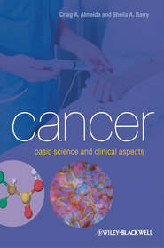 бесплатно читать книгу Cancer. Basic Science and Clinical Aspects автора Barry Sheila