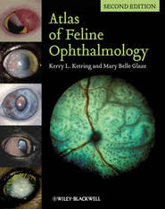 бесплатно читать книгу Atlas of Feline Ophthalmology автора Glaze Mary