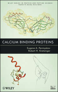бесплатно читать книгу Calcium Binding Proteins автора Kretsinger Robert