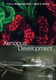 бесплатно читать книгу Xenopus Development автора Kubiak Jacek