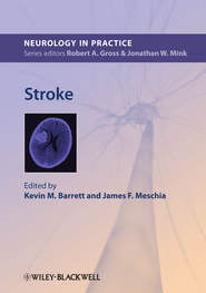 бесплатно читать книгу Stroke автора Barrett Kevin