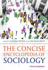 бесплатно читать книгу The Concise Encyclopedia of Sociology автора Ryan J.