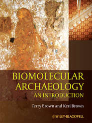 бесплатно читать книгу Biomolecular Archaeology. An Introduction автора Brown T.
