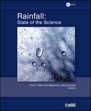 бесплатно читать книгу Rainfall. State of the Science автора Gebremichael Mekonnen