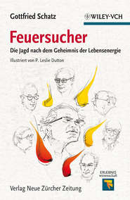 бесплатно читать книгу Feuersucher. Die Jagd nach dem Geheimnis der Lebensenergie автора Dutton P.