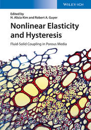 бесплатно читать книгу Nonlinear Elasticity and Hysteresis. Fluid-Solid Coupling in Porous Media автора Kim Alicia