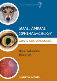 бесплатно читать книгу Small Animal Ophthalmology. What's Your Diagnosis? автора Featherstone Heidi