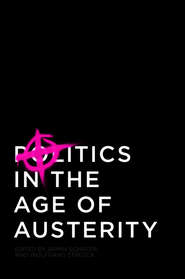 бесплатно читать книгу Politics in the Age of Austerity автора STREECK WOLFGANG