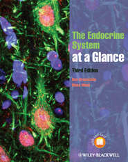 бесплатно читать книгу The Endocrine System at a Glance автора Wood Diana