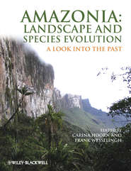 бесплатно читать книгу Amazonia, Landscape and Species Evolution. A Look into the Past автора Wesselingh Frank