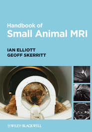 бесплатно читать книгу Handbook of Small Animal MRI автора Elliott Ian
