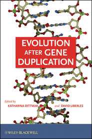 бесплатно читать книгу Evolution after Gene Duplication автора Dittmar Katharina