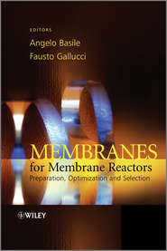 бесплатно читать книгу Membranes for Membrane Reactors. Preparation, Optimization and Selection автора Gallucci Fausto