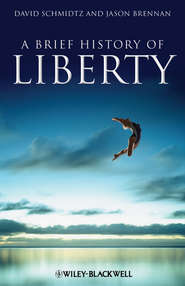 бесплатно читать книгу A Brief History of Liberty автора Schmidtz David
