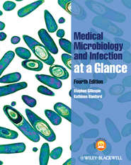 бесплатно читать книгу Medical Microbiology and Infection at a Glance автора Bamford Kathleen