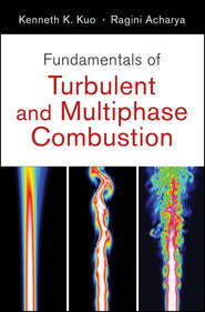 бесплатно читать книгу Fundamentals of Turbulent and Multi-Phase Combustion автора Acharya Ragini