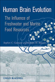бесплатно читать книгу Human Brain Evolution. The Influence of Freshwater and Marine Food Resources автора Stewart Kathlyn