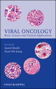 бесплатно читать книгу Viral Oncology. Basic Science and Clinical Applications автора Jeang Kuan-Teh