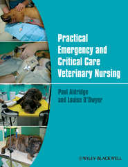 бесплатно читать книгу Practical Emergency and Critical Care Veterinary Nursing автора Aldridge Paul