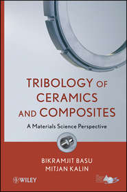 бесплатно читать книгу Tribology of Ceramics and Composites. Materials Science Perspective автора Kalin Mitjan