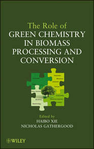 бесплатно читать книгу The Role of Green Chemistry in Biomass Processing and Conversion автора Xie Haibo