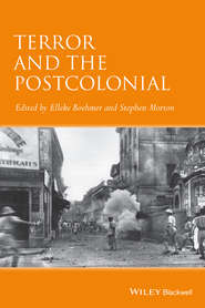 бесплатно читать книгу Terror and the Postcolonial. A Concise Companion автора Morton Stephen