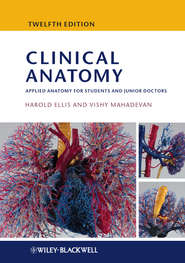 бесплатно читать книгу Clinical Anatomy. Applied Anatomy for Students and Junior Doctors автора Ellis Harold