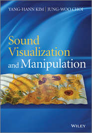 бесплатно читать книгу Sound Visualization and Manipulation автора Choi Jung-Woo