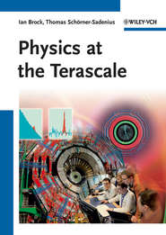 бесплатно читать книгу Physics at the Terascale автора Brock Ian