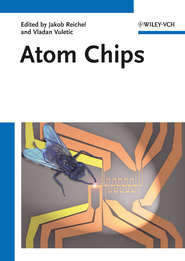 бесплатно читать книгу Atom Chips автора Reichel Jakob