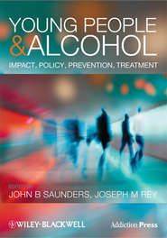 бесплатно читать книгу Young People and Alcohol. Impact, Policy, Prevention, Treatment автора Rey Joseph