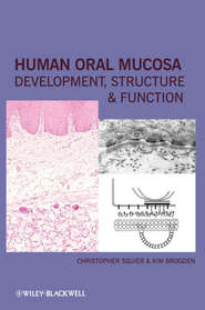 бесплатно читать книгу Human Oral Mucosa. Development, Structure and Function автора Brogden Kim