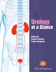 бесплатно читать книгу Urology at a Glance автора Hashim Hashim
