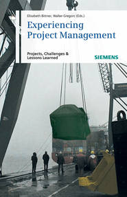 бесплатно читать книгу Experiencing Project Management. Projects, Challenges and Lessons Learned автора Bittner Elisabeth