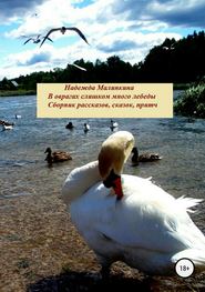 бесплатно читать книгу В оврагах слишком много лебеды… автора Надежда Малинкина