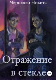бесплатно читать книгу Отражение в стекле автора Никита Черненко
