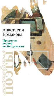 бесплатно читать книгу Предметы первой необходимости автора Анастасия Ермакова