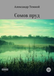 бесплатно читать книгу Сомов пруд автора Александр Темной