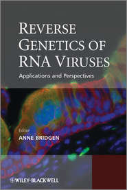 бесплатно читать книгу Reverse Genetics of RNA Viruses. Applications and Perspectives автора Anne Bridgen
