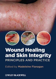 бесплатно читать книгу Wound Healing and Skin Integrity. Principles and Practice автора Madeleine Flanagan