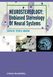 бесплатно читать книгу Neurostereology. Unbiased Stereology of Neural Systems автора P. Mouton
