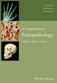 бесплатно читать книгу A Companion to Paleopathology автора Anne Grauer