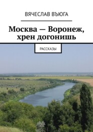 бесплатно читать книгу Москва – Воронеж, хрен догонишь. Рассказы автора Вячеслав ВъЮГа